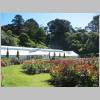 Wellington 069.jpg